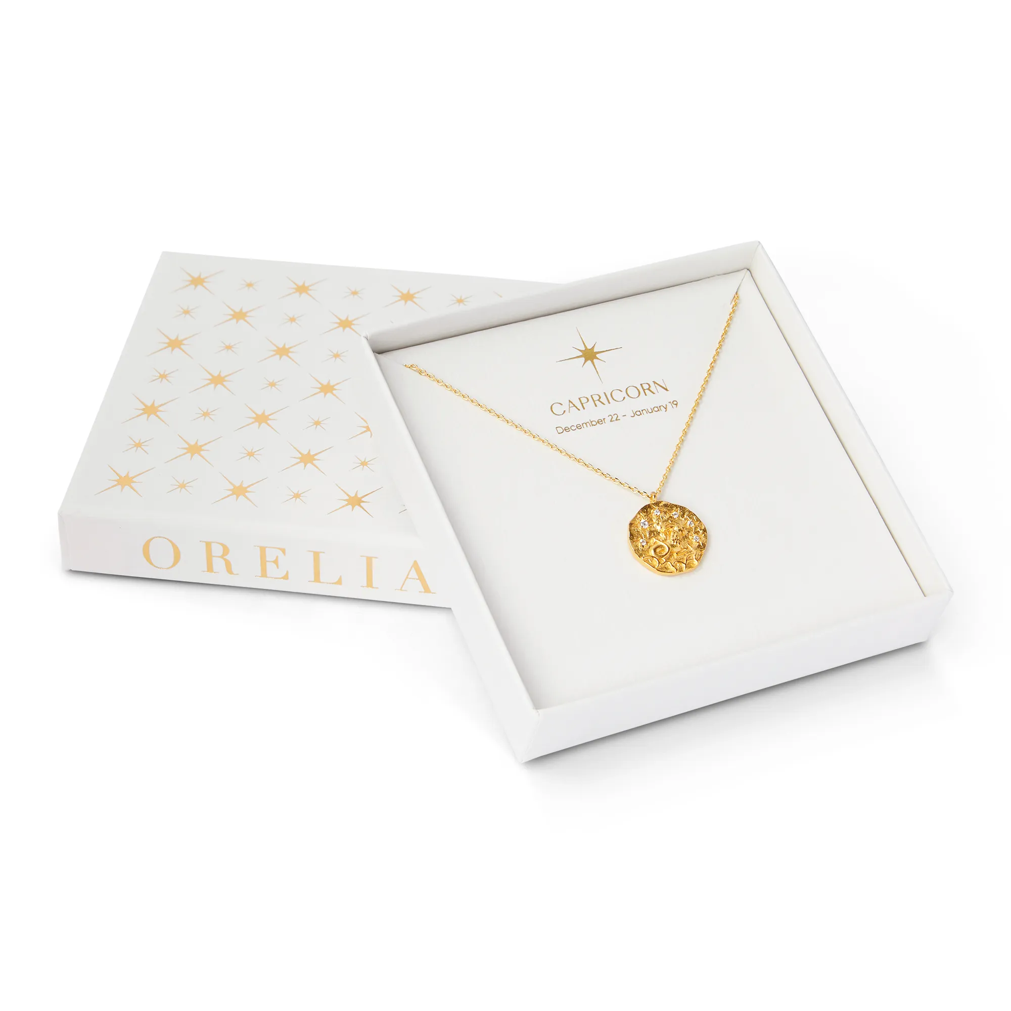 Capricorn Zodiac Necklace