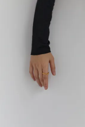 CURB CHAIN RING