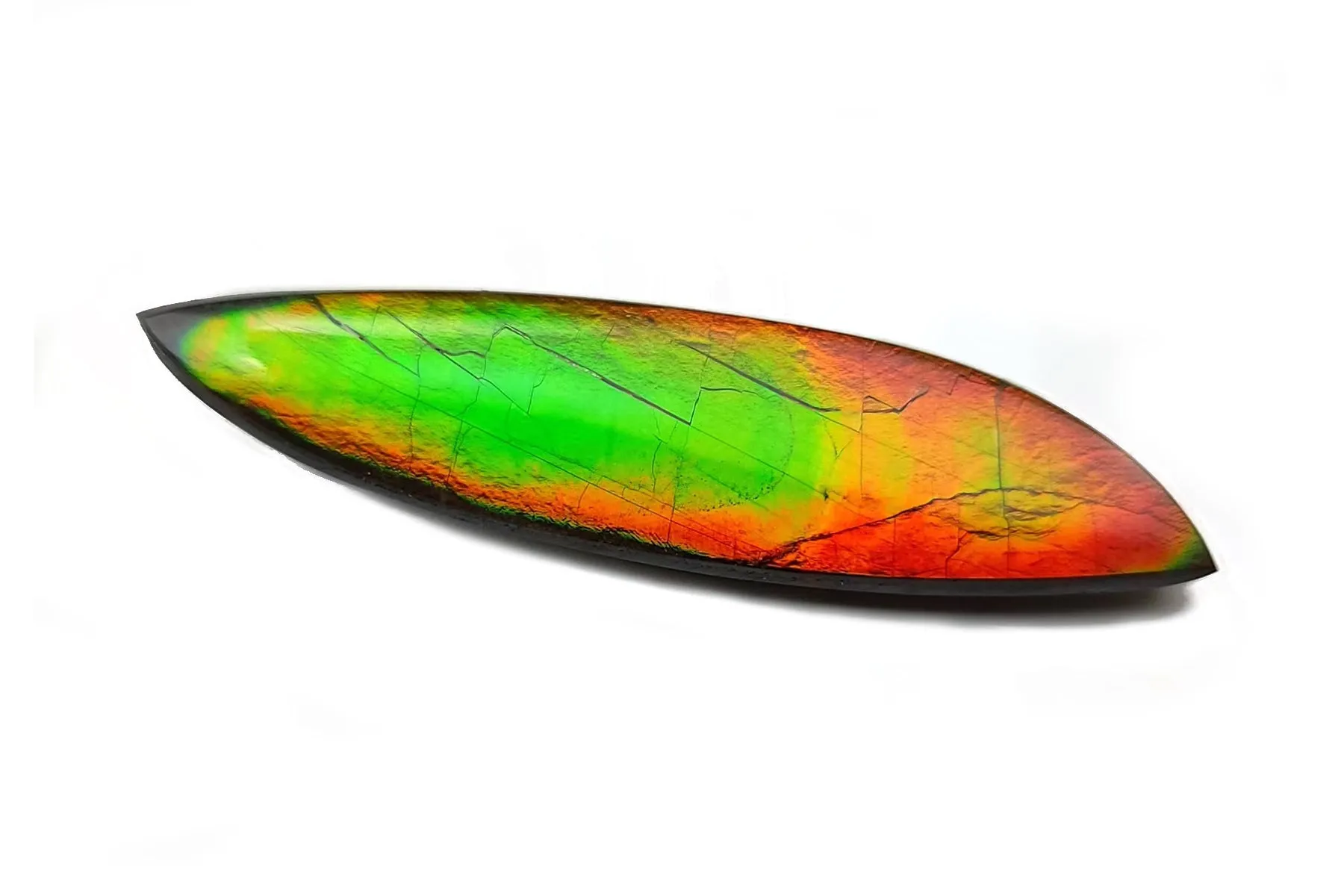 FFSC2226