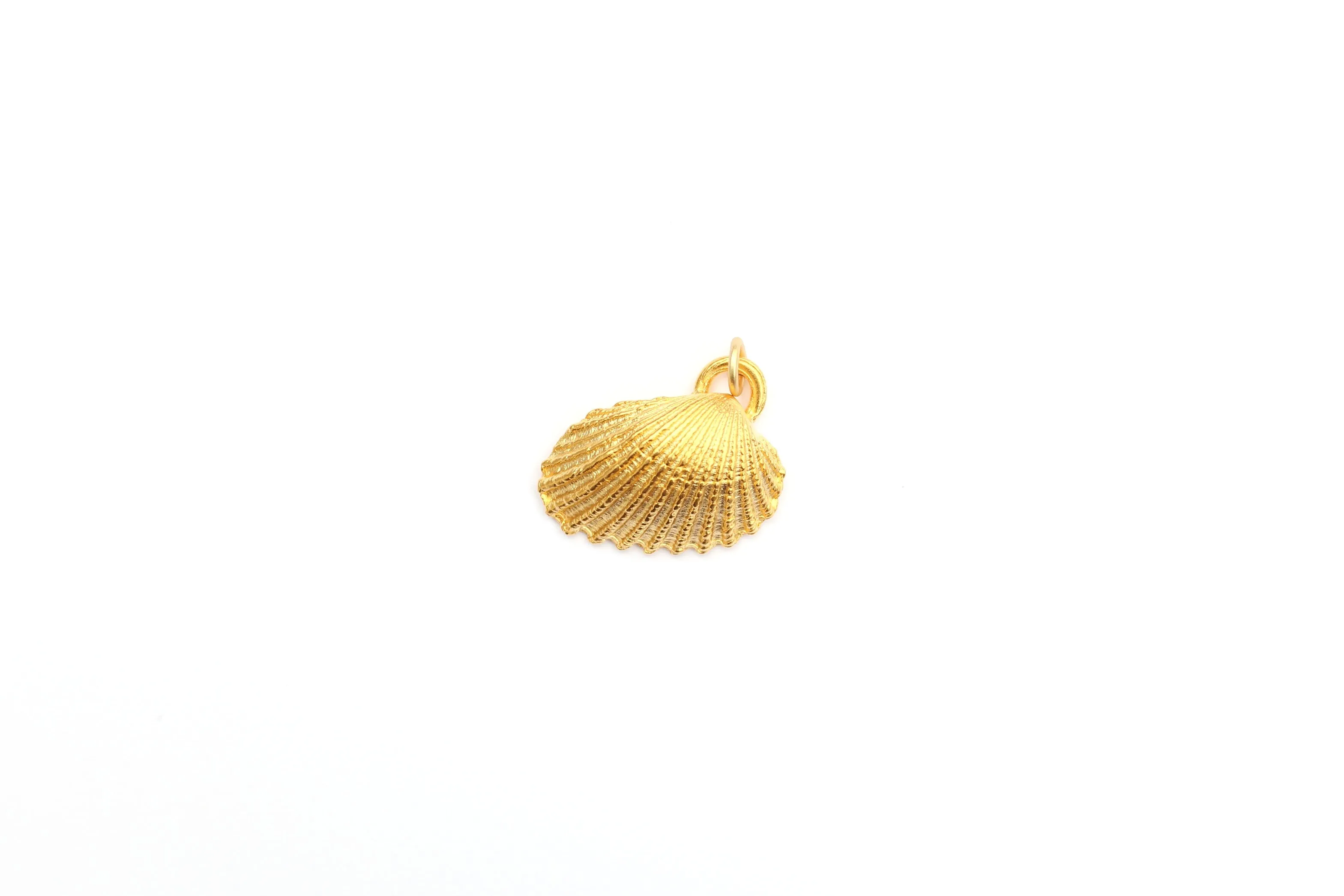 Ridged Shell Pendant in Britannium - Coastal Elegance in Every Detail