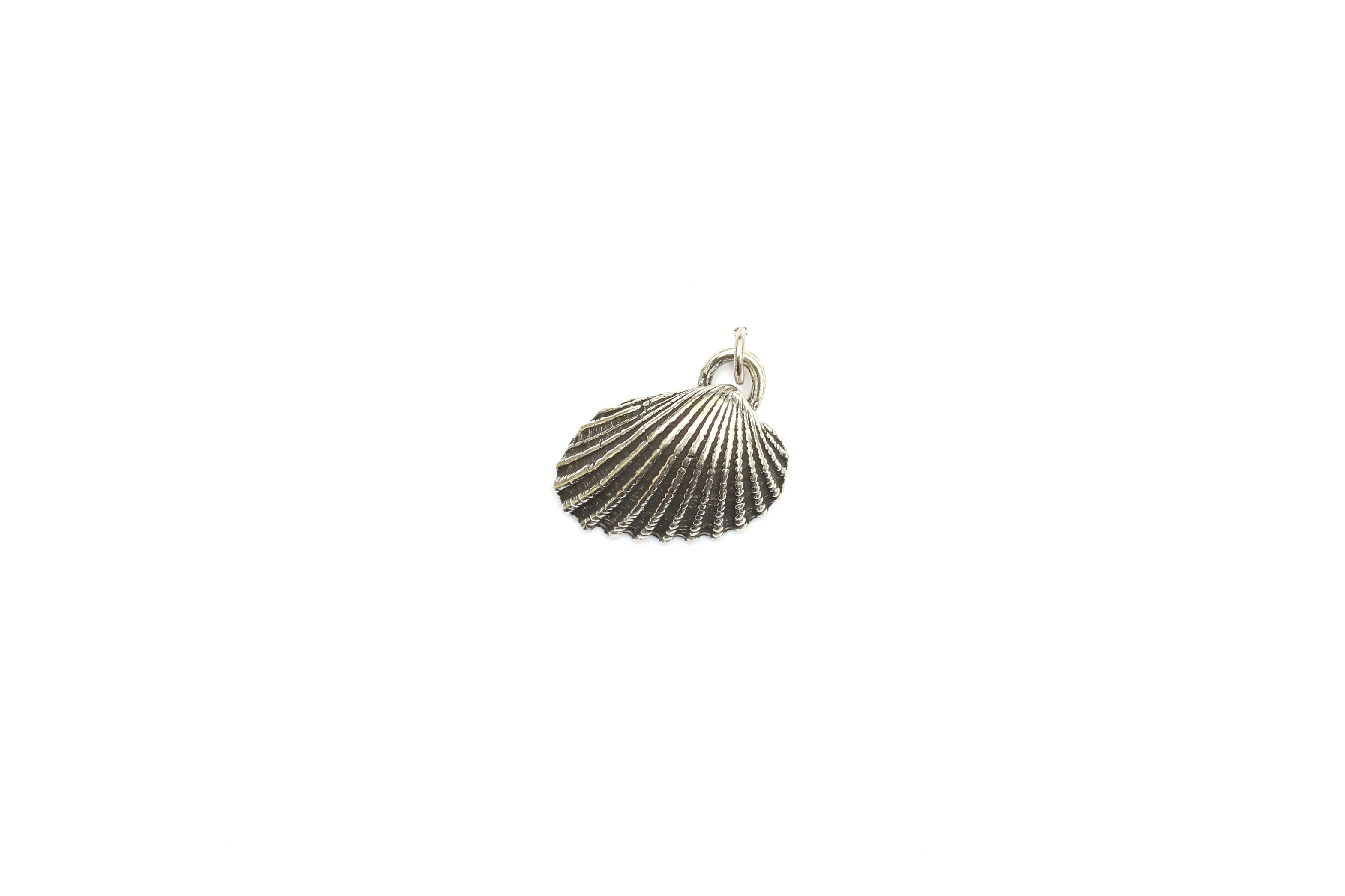 Ridged Shell Pendant in Britannium - Coastal Elegance in Every Detail