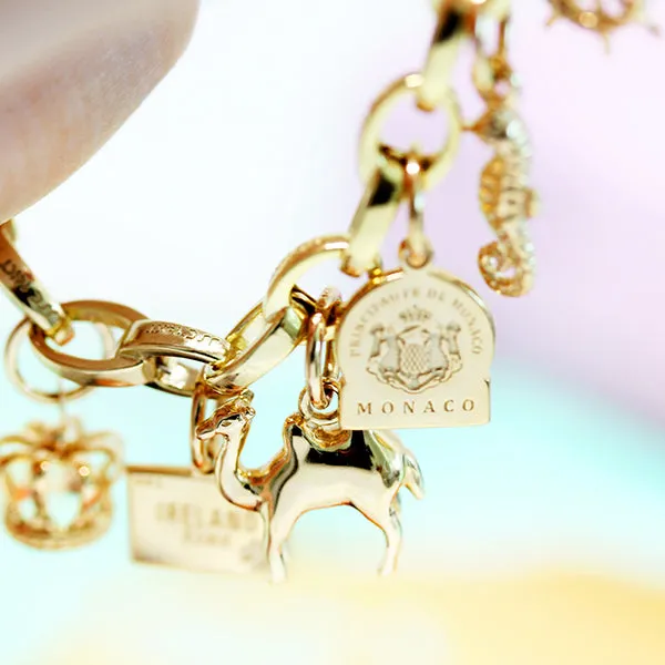 Slim Bracelet Bundle: 5 Mini Charms