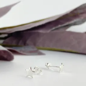 Stargazer Earrings - VE570