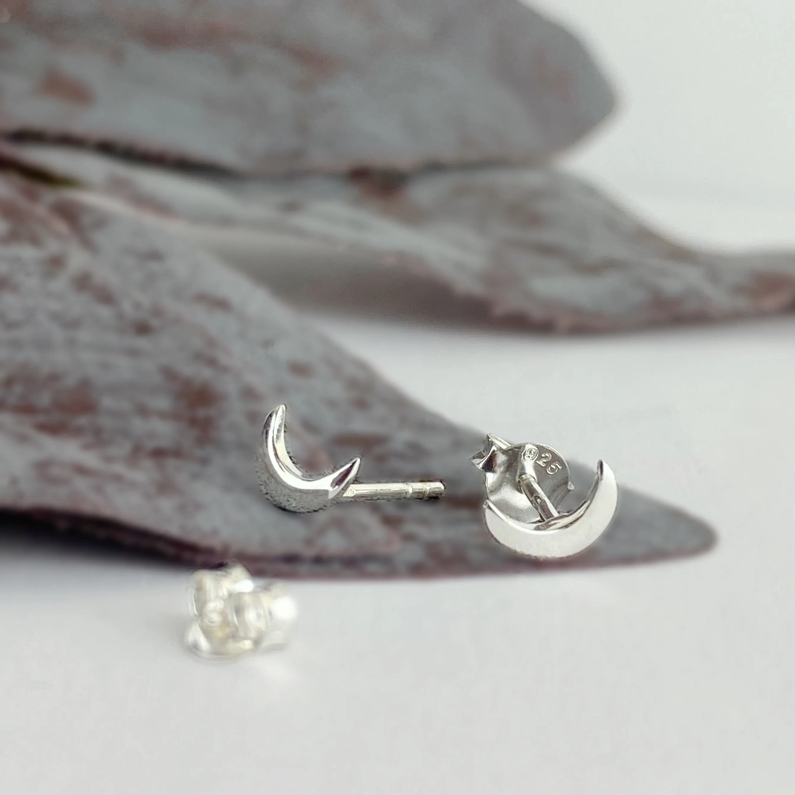 Stargazer Earrings - VE570
