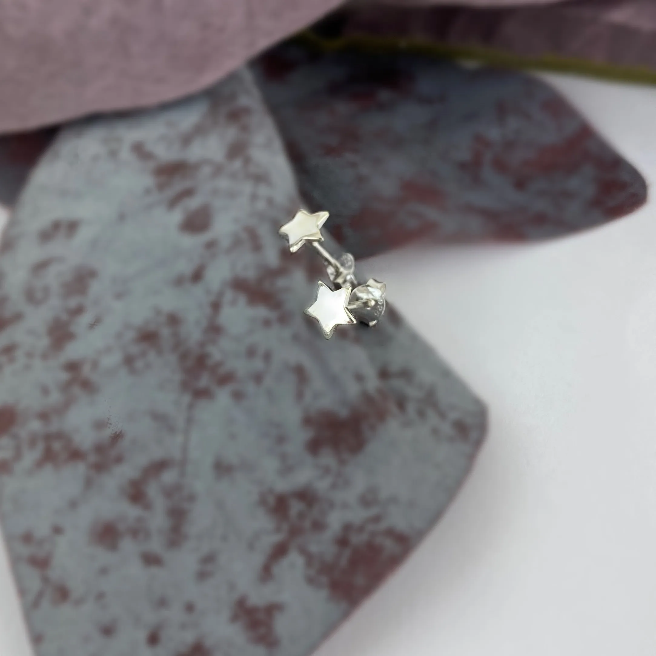 Stargazer Earrings - VE570
