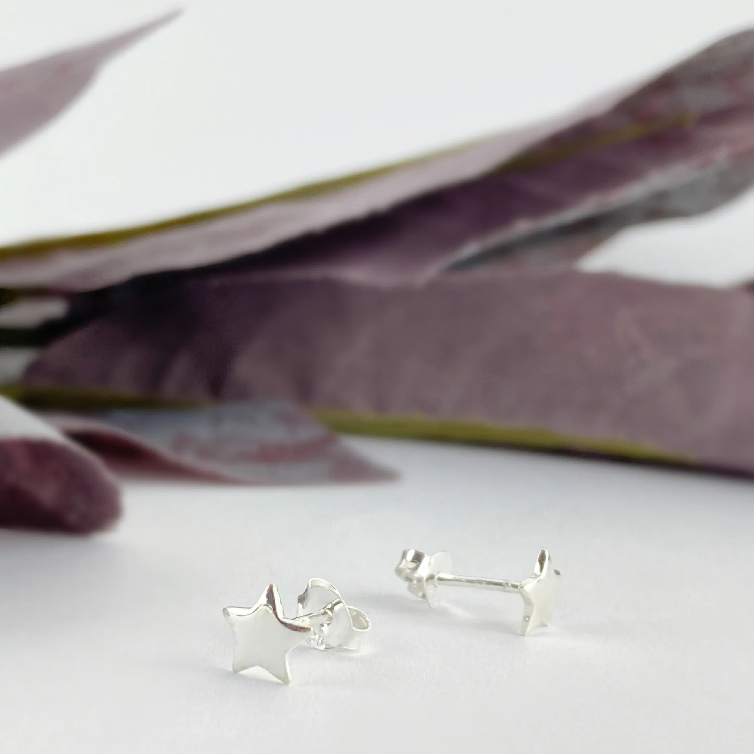 Stargazer Earrings - VE570