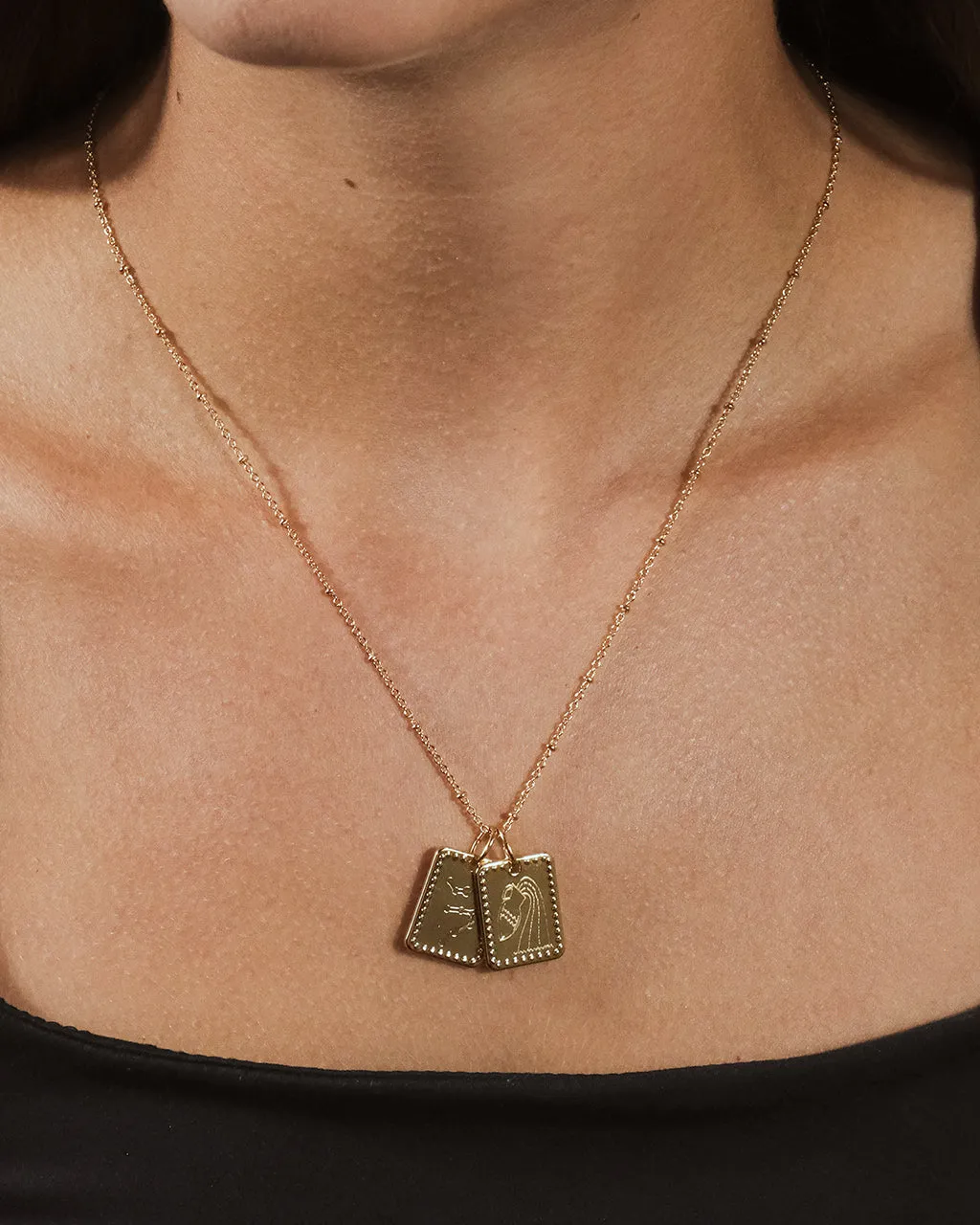 Zodiac Tag Necklace